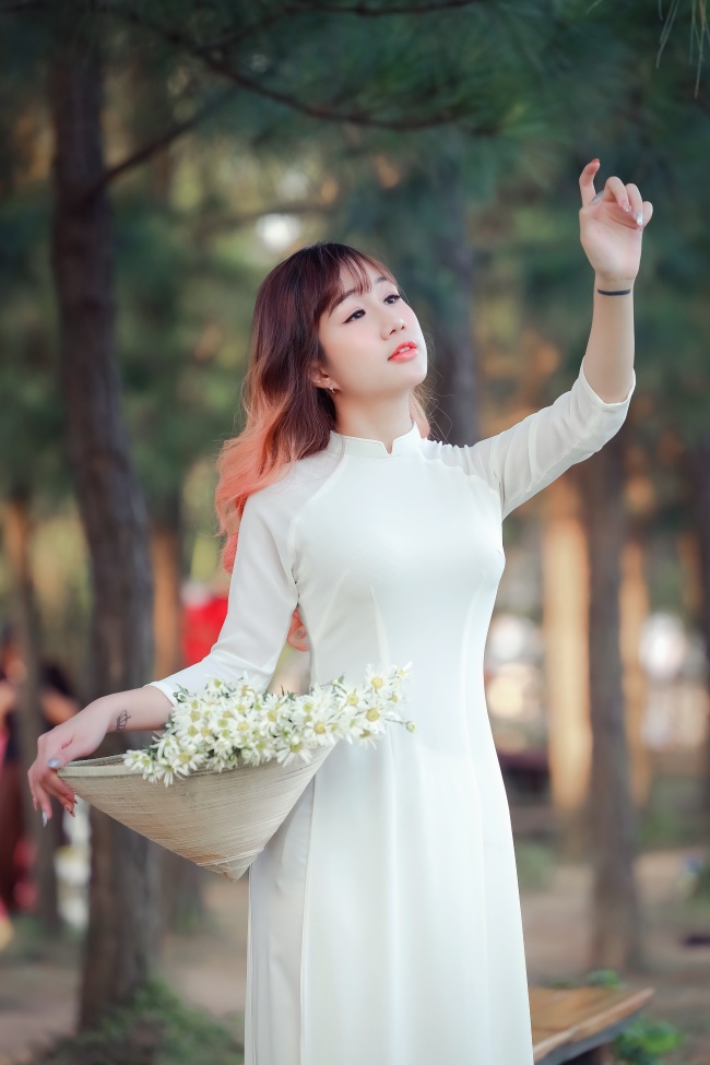 大唐牡丹